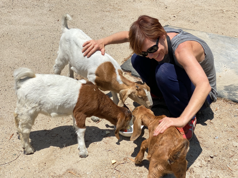 Ms. St John at her farm with her three goats, Rosie, Sissy, and Timmy 