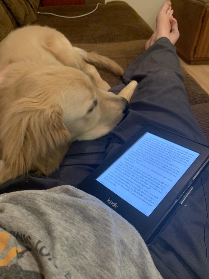 With both Cooper and her kindle in her lap, Stephanie Bolton is excited to read the Wings of Fire series, which is very popular among lower school students.