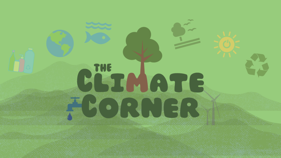 Climate Corner: Lower School Sustainability Reps Are Making Waves