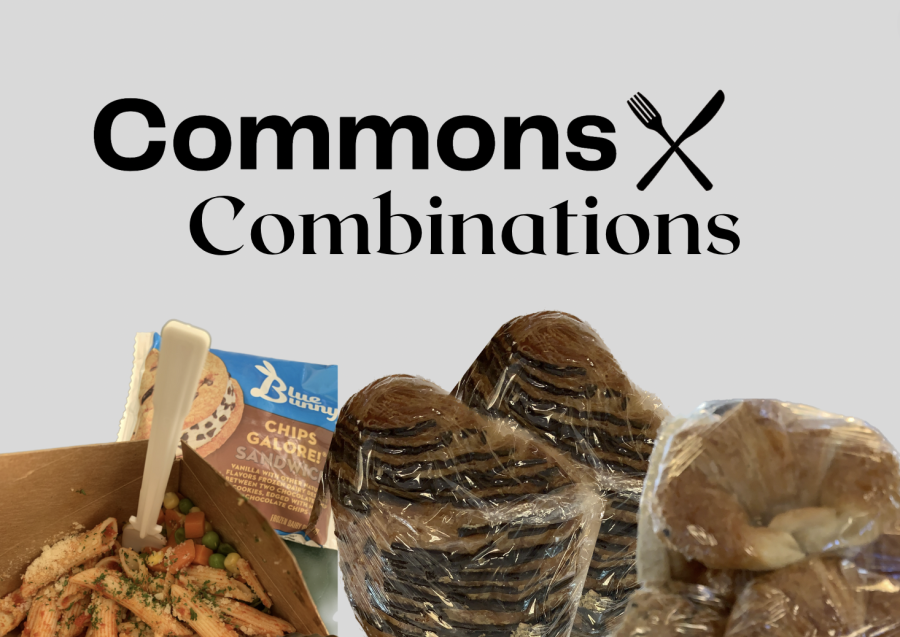 After many years eating in the Commons almost every day, I have come up with a pretty solid list of food combinations that you can get at the Commons.