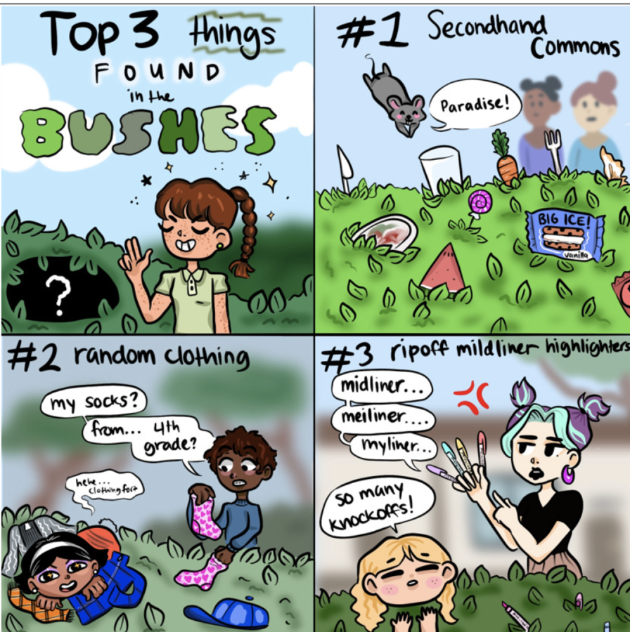 Top 3 Things Found in the Bushes
