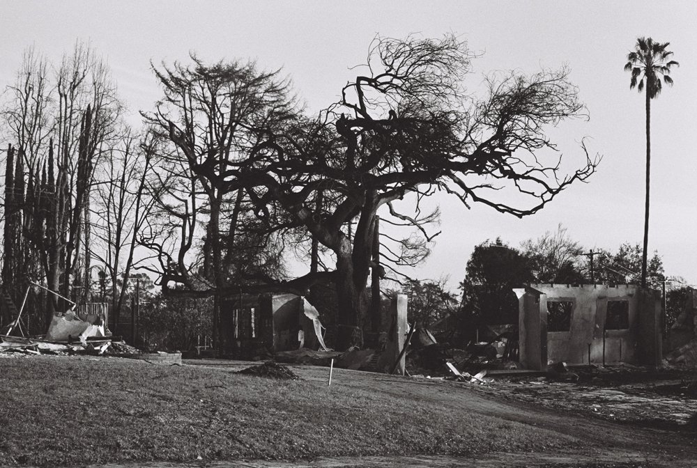 Photo Essay: Documenting the Loss of My Home After the Eaton Fire