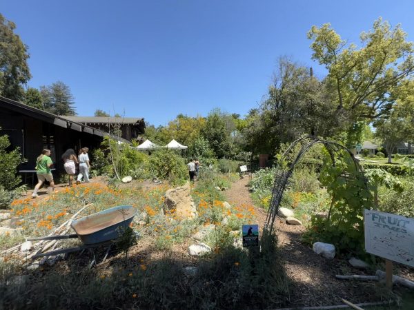 The permaculture garden in full bloom during the annual Open House, where students showcased a year’s worth of sustainability and design work.