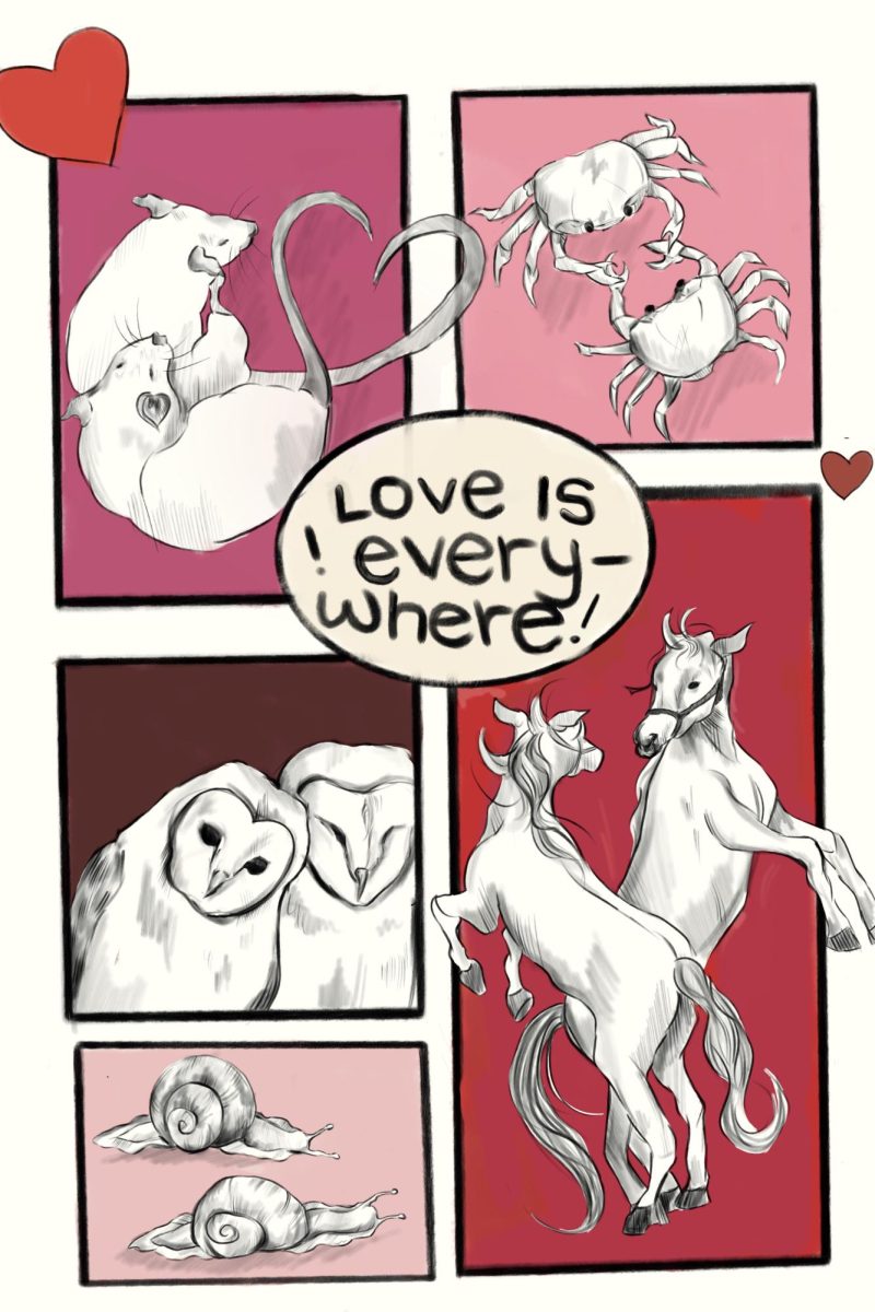 COMIC: Love Is Everywhere!