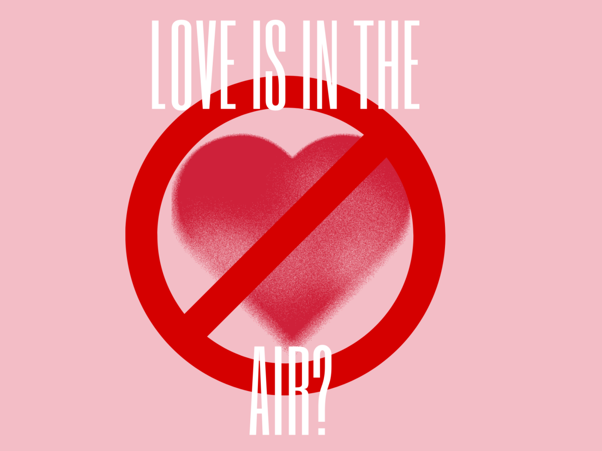 Valentine's Day is fast approaching and for some of us, we don't have to spend it with a partner. 