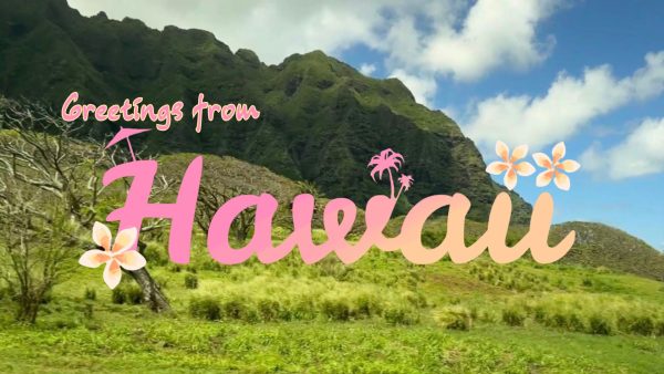 POSTCARD: Hawaii