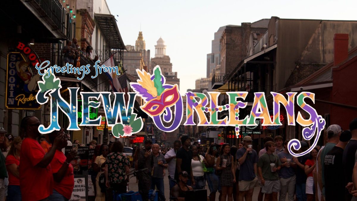 POSTCARD: New Orleans
