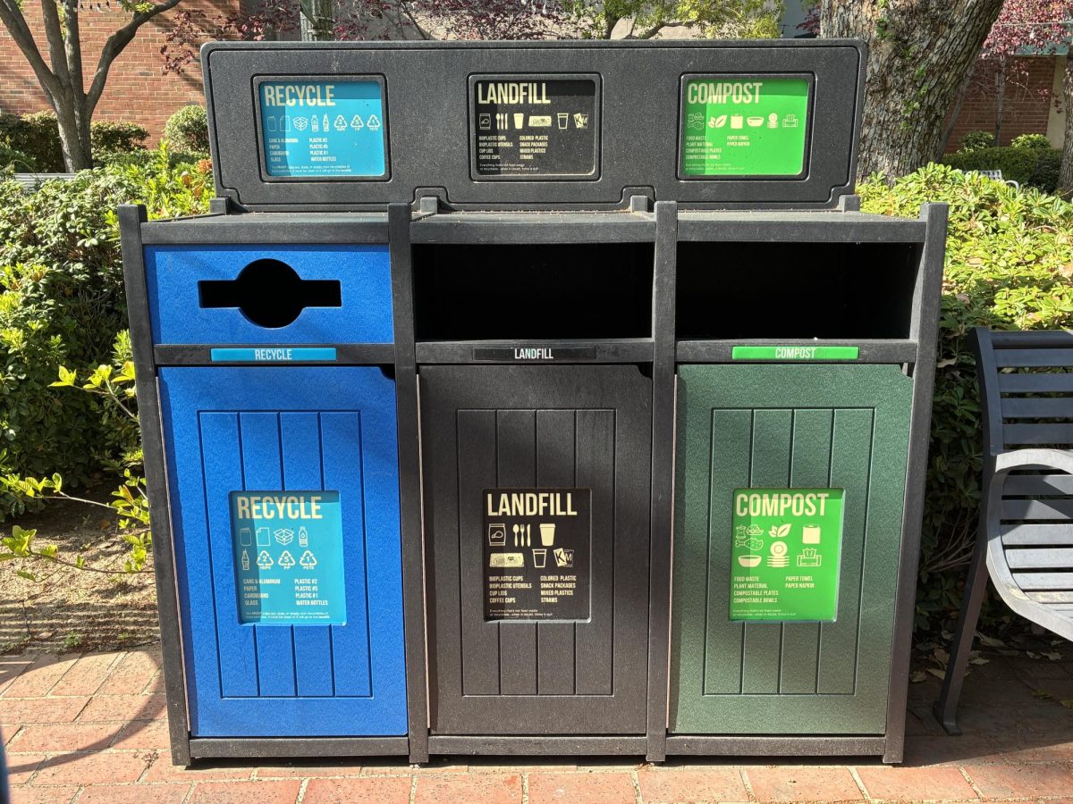 The compost, recycling, and trash bins are clearly labelled and separated, but food scraps still end up in the trash, and chip bags slip into the recycling.