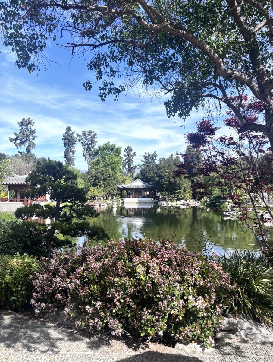 On the LA Art Trip, students visited the Huntington Gardens. 